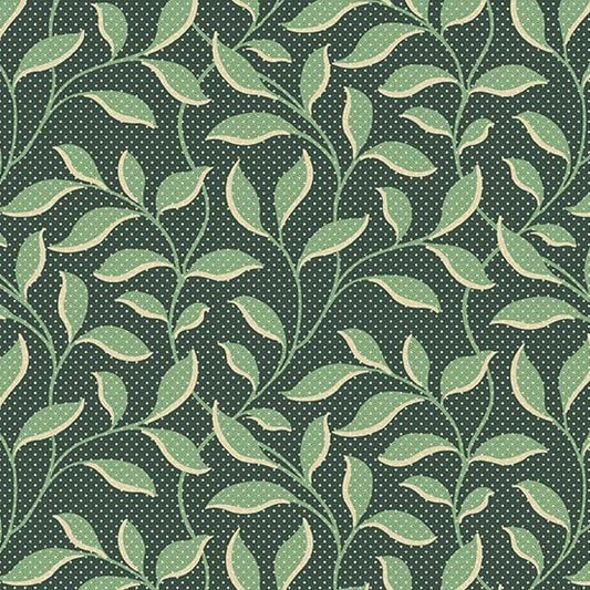 Evergreen - 1 yard