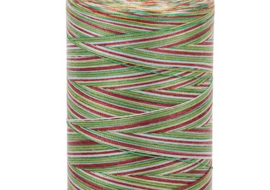 Aurifil Floss Cotton 6-Strand - Variegated Leaves