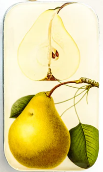 Botanical Pear Tin - Small